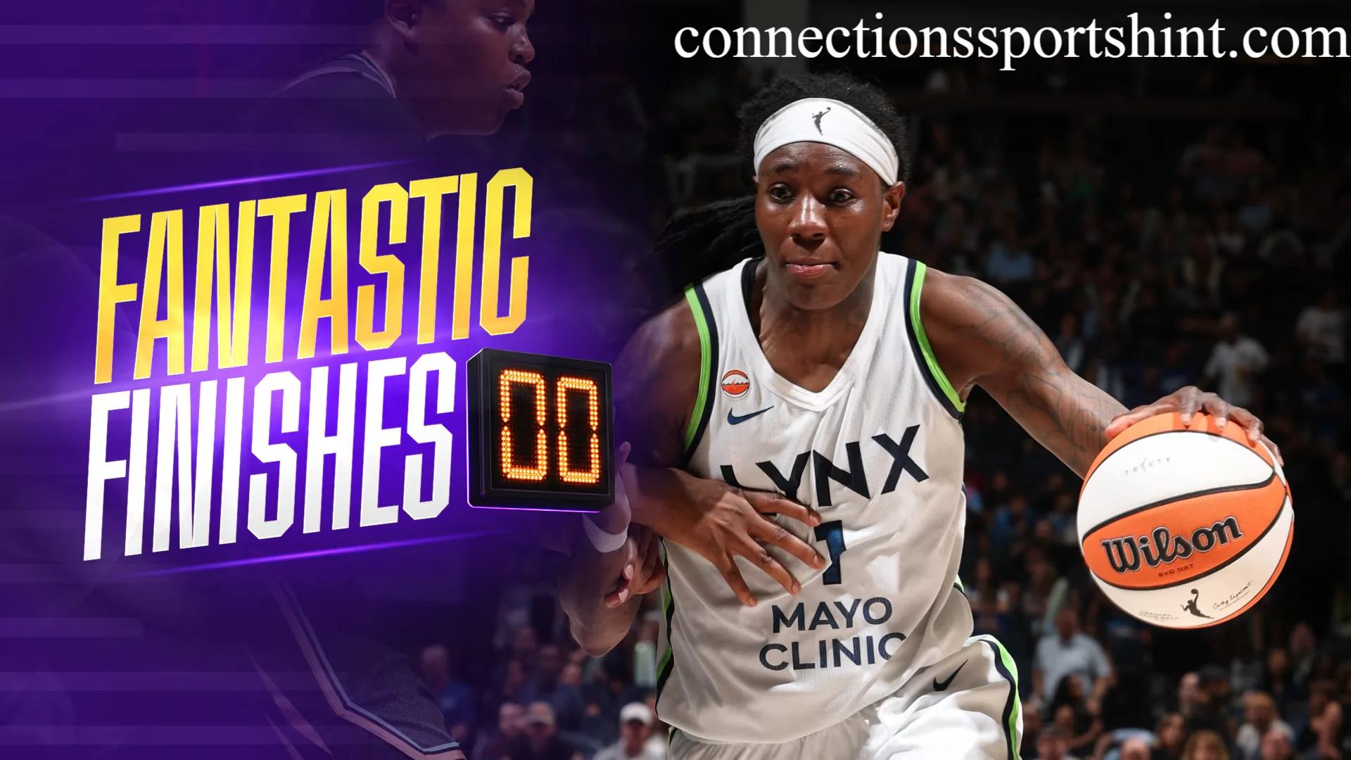 Minnesota Lynx vs New York Liberty Match Player Stats